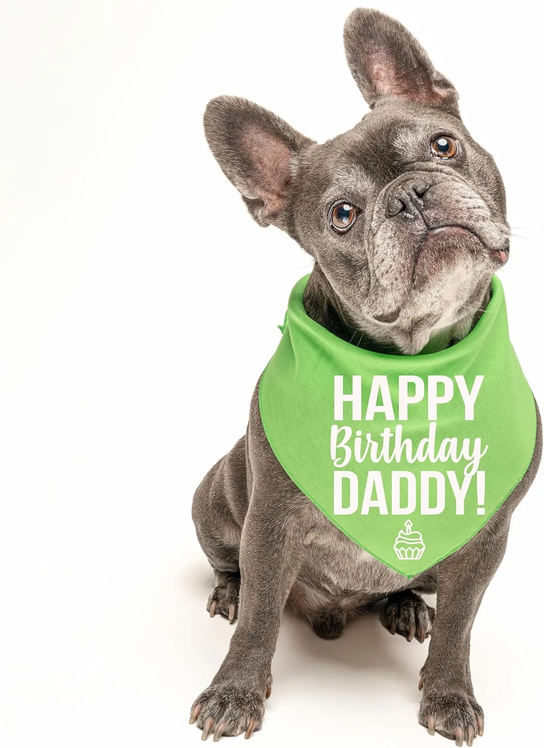 Happy Birthday Daddy! Dog Bandana (170, Black OS)