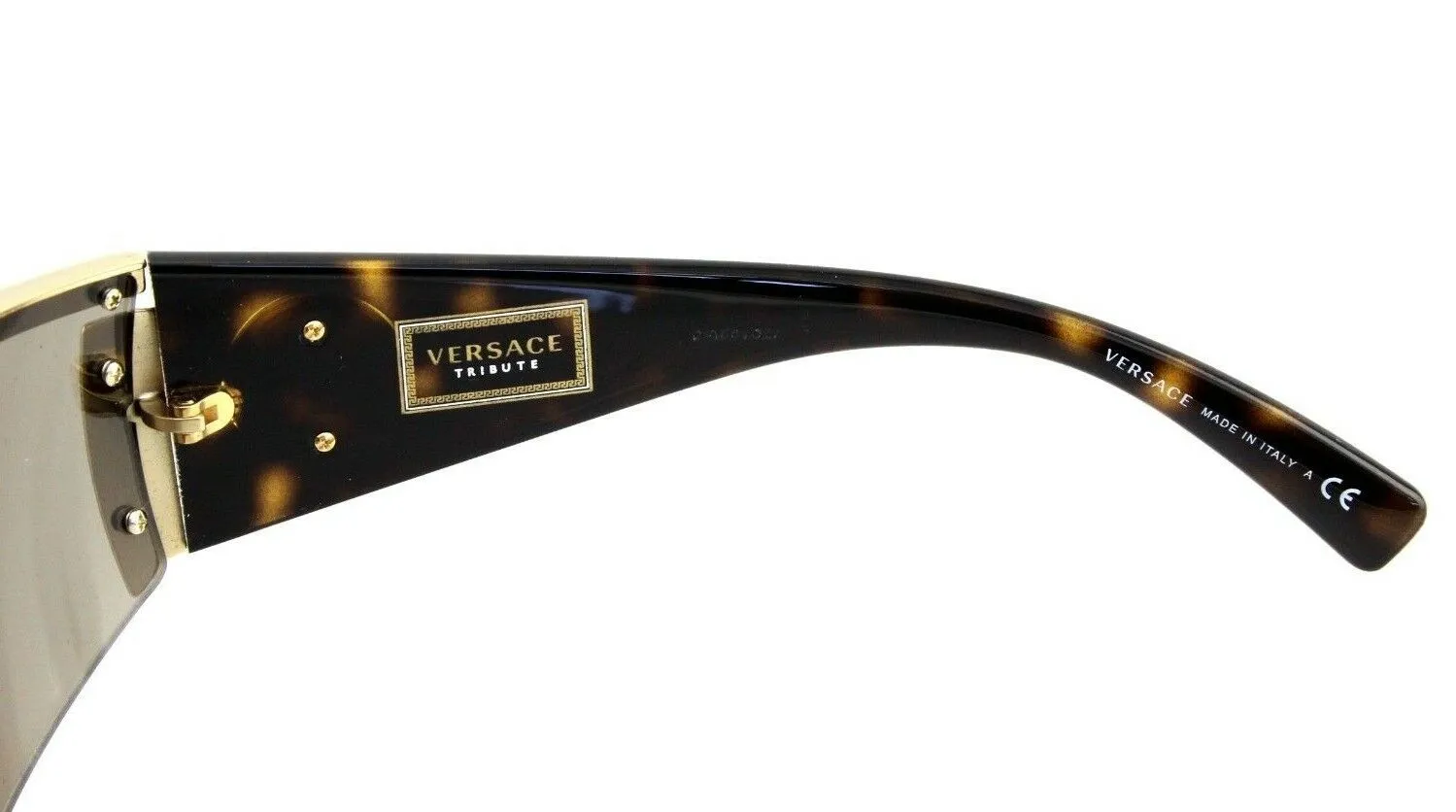 Versace Tribute Unisex Sunglasses VE 2197 10005A